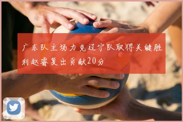 广东队主场力克辽宁队取得关键胜利赵睿复出贡献20分