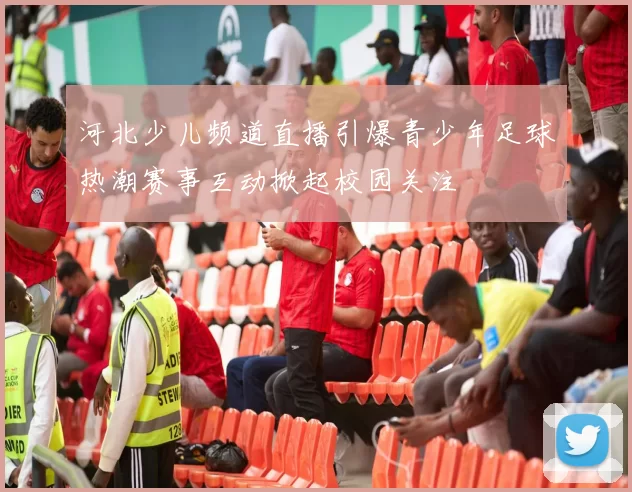 河北少儿频道直播引爆青少年足球热潮赛事互动掀起校园关注