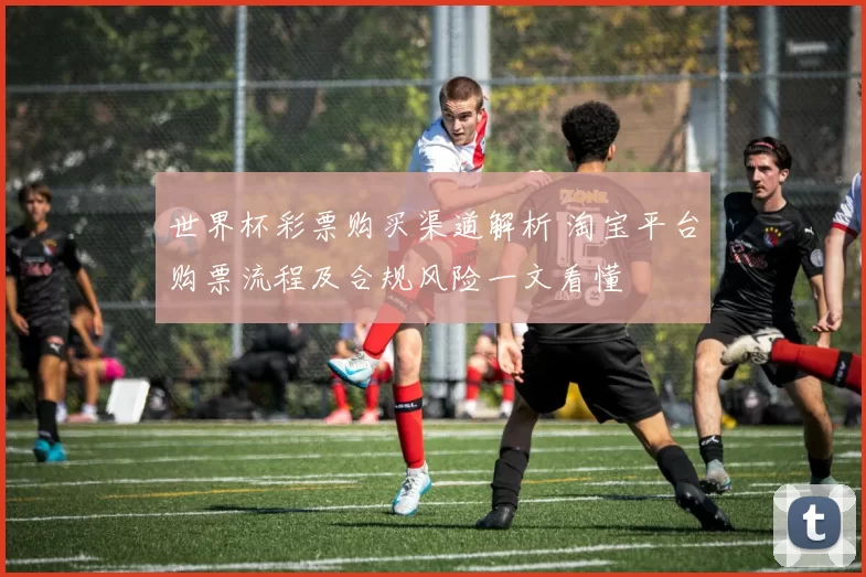 世界杯彩票购买渠道解析 淘宝平台购票流程及合规风险一文看懂