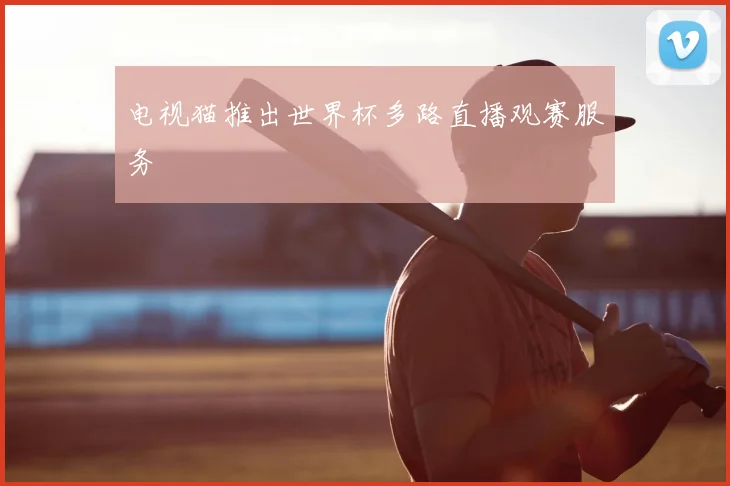 电视猫推出世界杯多路直播观赛服务