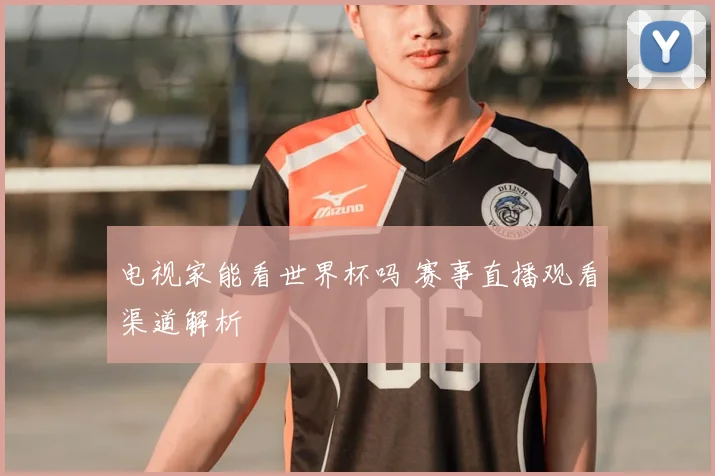 电视家能看世界杯吗 赛事直播观看渠道解析